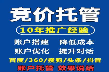 百度推广费用的投入与市场占有率提升的关联案例